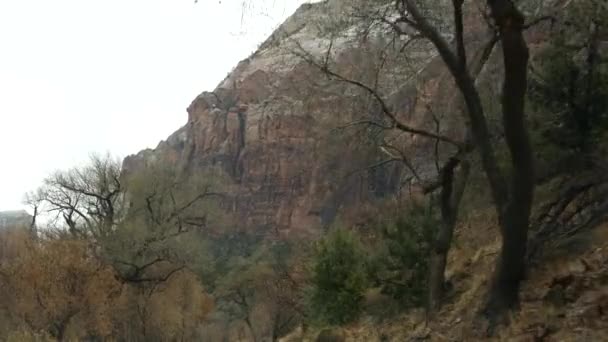 Roadtrip, Autofahren in Zion Canyon, Utah, USA. Per Anhalter durch Amerika, Herbstreise. Rote außerirdische steile Klippen, Regen und kahle Bäume. Nebel und ruhige Herbststimmung. Blick aus dem Auto — Stockvideo