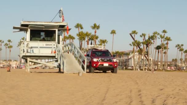 Los Ángeles Usa Nov 2019 California Verano Venecia Playa Estética — Vídeos de Stock