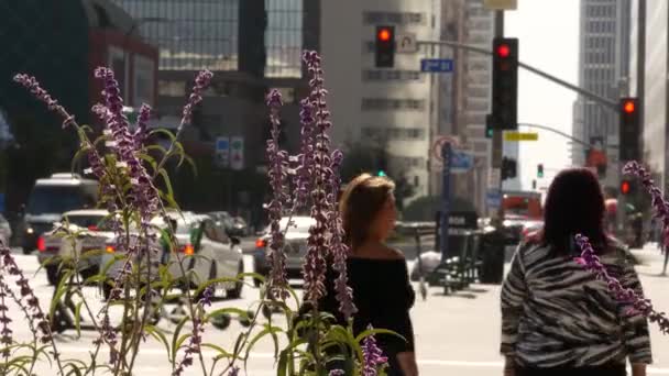 Los Angeles California Usa Ott 2019 Persone Che Camminano Metropoli — Video Stock