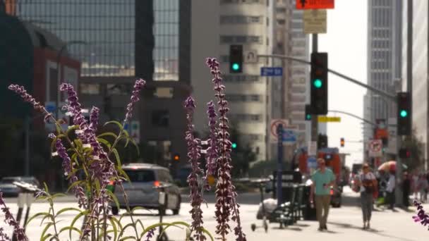 Los Angeles California Usa Oct 2019 People Walking Metropolis Pedestrians — Stock Video