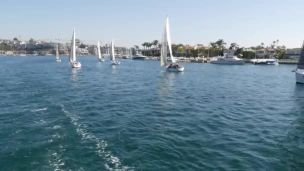 Ньюпорт Бич Калифорния Сша Ноября 2019 Курорт Марина Яхтами Парусниками — стоковое видео