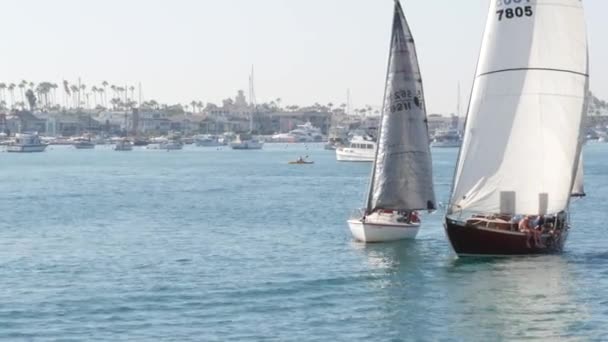 Newport Beach California 11月2019 ロサンゼルスの近くにヨットや帆船 太平洋岸とマリーナリゾート 海軍艦艇のレガッタ 港の帆船 オレンジ郡の高級郊外 — ストック動画