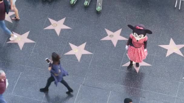 Los Angeles California Eua Nov 2019 Passeio Avenida Hollywood Pedastrianos — Vídeo de Stock