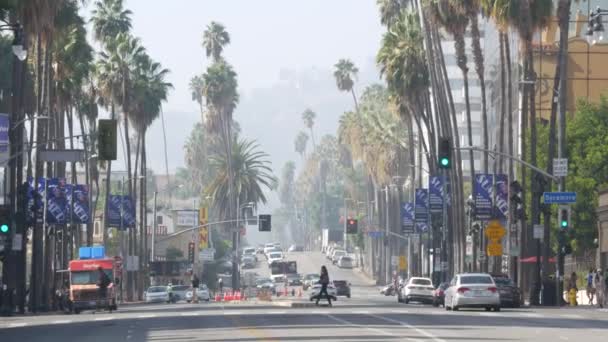 Los Angeles California Abd Nov 2019 Şöhret Yolu Hollywood Bulvarı — Stok video