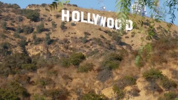美国加利福尼亚州 洛杉矶 2019年11月7日 偶像好莱坞标志 山上的大字是电影 电影制片厂和娱乐业的象征 高山上的大字 透过绿叶看 — 图库视频影像
