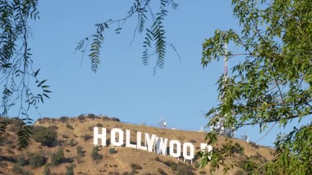 Los Angeles California 11月2019 象徴的なハリウッドの看板 映画スタジオ エンターテイメント業界のシンボルとして丘の上に大きな文字 山の上の大きなテキスト 緑の葉を介して表示 — ストック動画