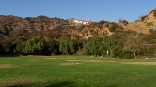 Los Angeles California 11月2019 象徴的なハリウッドの看板 映画スタジオ エンターテイメント業界のシンボルとして丘の上に大きな文字 山の上の大きなテキスト 緑の葉を介して表示 — ストック動画