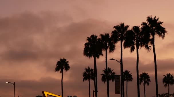 ロサンゼルス カリフォルニア 11月2019 飛行機の着陸 Lax空港 旅客便や貨物飛行機のシルエット 劇的なピンクの空 飛行場への航空機到着 国際輸送機 — ストック動画