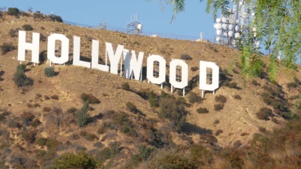 Los Angeles California 11月2019 象徴的なハリウッドの看板 映画スタジオ エンターテイメント業界のシンボルとして丘の上に大きな文字 山の上の大きなテキスト 緑の葉を介して表示 — ストック動画