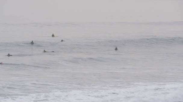 Encinitas California Dic 2019 Gente Surfeando Agua Fría Del Océano — Vídeo de stock