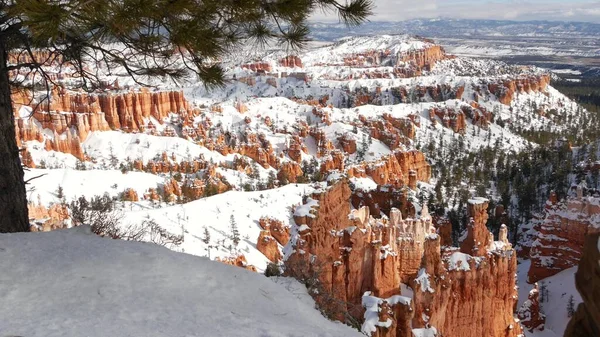 Bryce Canyon en hiver, neige dans l'Utah, USA. Hoodoos en amphithéâtre, relief érodé, point de vue panoramique. Formation orange unique. Grès rouge, pin résineux ou sapin. Eco tourisme en Amérique — Photo