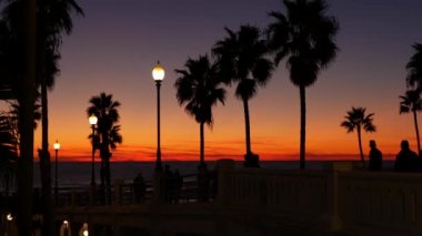 Oceanside, California USA - 27 Aralık 2020: Palmiye silueti alacakaranlık gökyüzü, alacakaranlık gece atmosferi. İnsanlar iskelede yürüyor. Tropikal Pasifik Okyanusu plajı, gün batımından sonraki estetik. Los Angeles titreşimleri.