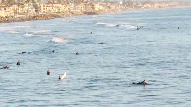 캘리포니아주 오션사이드 2020 사람들이 서핑을 파도타기를 파도타기를 파도를 기다리며 파도타기를 — 비디오