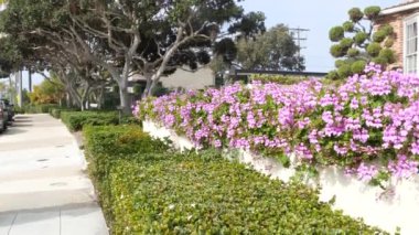 La Jolla, San Diego, CA USA -24 Ocak 2020: Arabalar ve binalar, Kaliforniya kıyı turizm merkezinin şehir merkezi caddesi. Trafiği olan şehir manzarası, tatil ve hafta sonu için Amerika 'nın seyahat yeri.