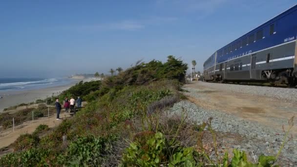 Del Mar California Usa Jan 2020 Pacific Surfliner Train Travel — Stock Video