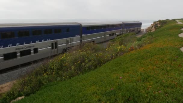 Del Mar California Usa Jan 2020 Pacific Surfliner Train Travel — стокове відео