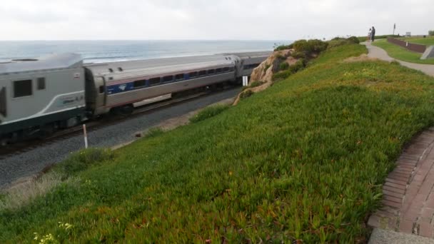 Del Mar California Usa Jan 2020 Pacific Surfliner Train Travel — Stock Video