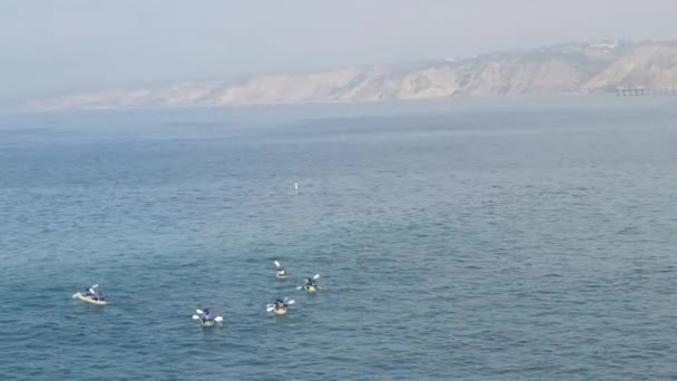 Jolla San Diego Usa Ocak 2020 Okyanusta Kano Süren Bir — Stok video