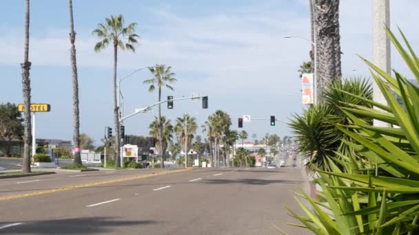 Oceanside California Usa Jan 2020 Palm Trees Route 101 American — Stock Video