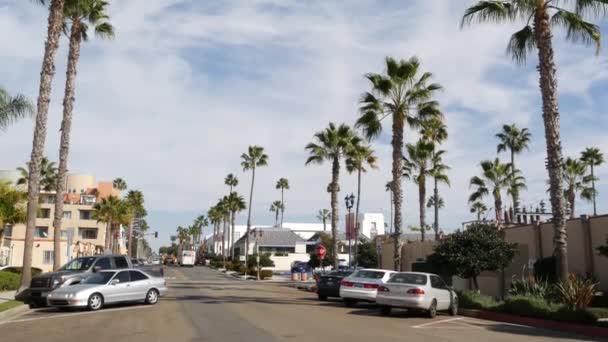 Окансайд Штат Калифорния Сша Января 2020 Года Пальмы Типичной Улице — стоковое видео
