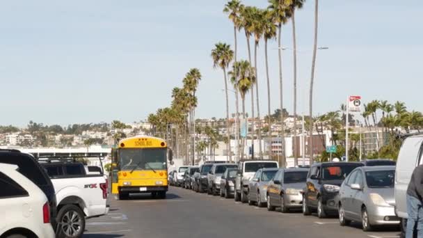 San Diego California Enero 2020 Autobús Escolar Amarillo Estadounidense Calle — Vídeo de stock