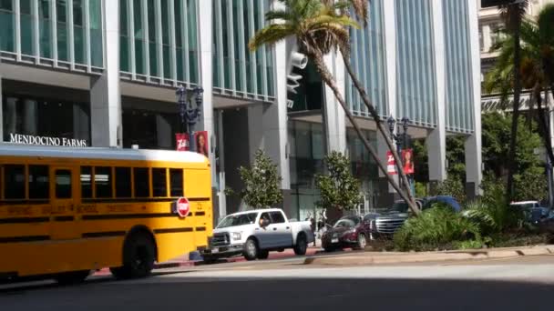 San Diego California Feb 2020 Autobús Escolar Amarillo Estadounidense Calle — Vídeos de Stock