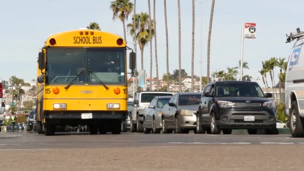 San Diego California Enero 2020 Autobús Escolar Amarillo Estadounidense Calle — Vídeos de Stock