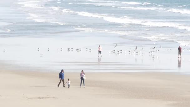 カリフォルニア州オーシャンサイド2020年2月11日 太平洋岸 桟橋からビーチを歩いている地元の人々 海の水波潮 海岸砂 ビーチフロントの休暇リゾート ウォーターフロントの遊歩道 — ストック動画
