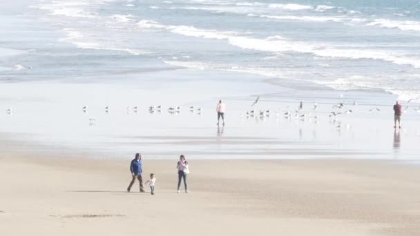 Oceanside California Usa Feb 2020 Gente Del Posto Passeggia Costa — Video Stock