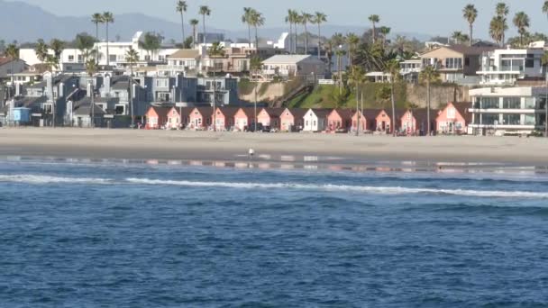 Oceanside California Usa Feb 2020 Gente Del Posto Passeggia Costa — Video Stock