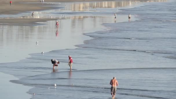 美国加利福尼亚州海洋边 2020年2月11日 当地居民步行 太平洋海岸 海水波涛汹涌 海滩沙沙汹涌 海滨度假胜地 海滨长廊 — 图库视频影像