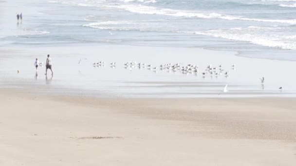 Oceanside Californië Feb 2020 Lokale Mensen Wandelen Pacific Oceaankust Strand — Stockvideo