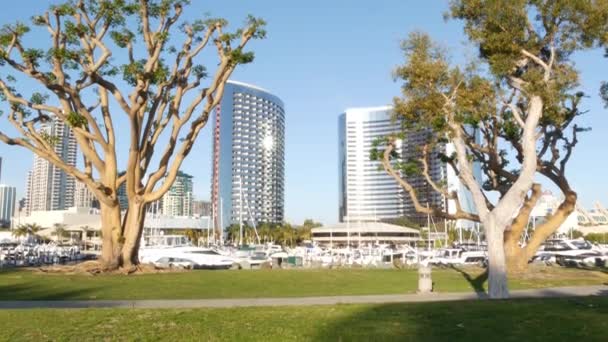 San Diego California Usa Feb 2020 Embarcadero Marina Park Uss — Stock videók