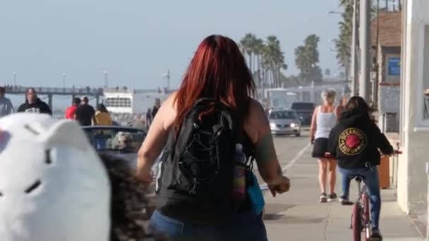 Oceanside California Usa Feb 2020 People Walking Strolling Waterfront Sea — Stock Video