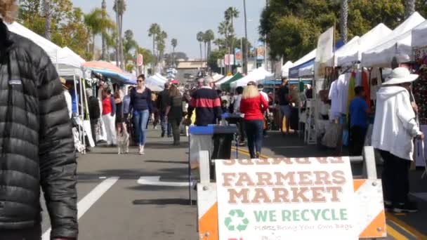 Oceanside Kalifornien Usa Feb 2020 Människor Går Marknadsplats Kund Bondemarknaden — Stockvideo