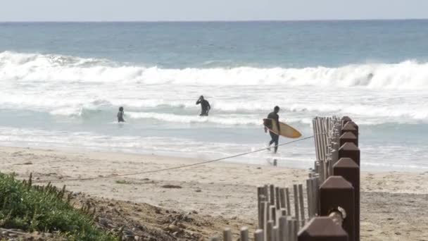 Encinitas Kalifornia Usa Feb 2020 Surferzy Oceanie Pacyficzne Wybrzeże Duże — Wideo stockowe