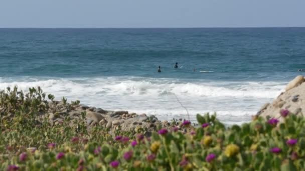 Encinitas Kalifornie Usa Února 2020 Surfaři Oceánu Pacifické Pobřeží Velké — Stock video