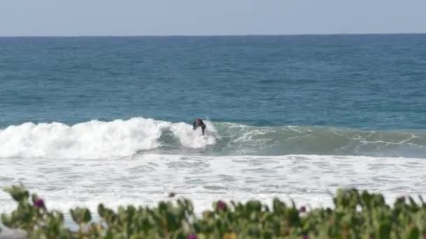 Encinitas Kalifornia Usa Feb 2020 Surferzy Oceanie Pacyficzne Wybrzeże Duże — Wideo stockowe