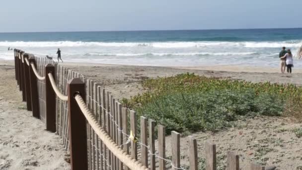 Encinitas Kalifornien Usa Feb 2020 Stillahavskusten Människor Som Vandrar Havsstranden — Stockvideo