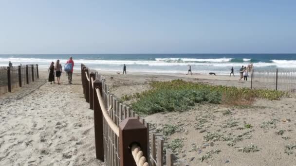 Encinitas Kalifornien Usa Feb 2020 Stillahavskusten Människor Som Vandrar Havsstranden — Stockvideo