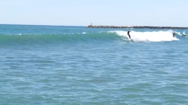 Oceanside California Feb 2020 Surfers Surfers Die Koud Water Zwemmen — Stockvideo