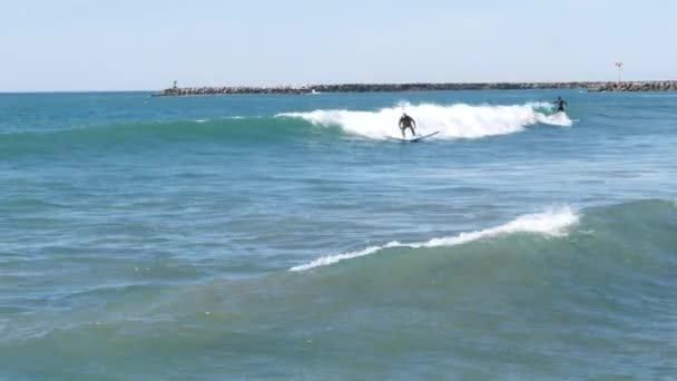 Oceanside California Feb 2020 Surfers Surfers Die Koud Water Zwemmen — Stockvideo