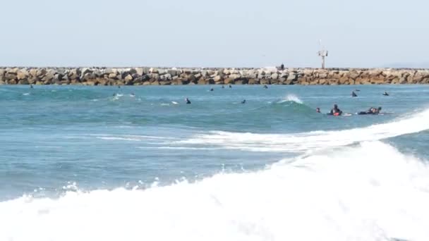 Oceanside California Usa Feb 2020 Άνθρωποι Σέρφινγκ Σέρφερ Που Κολυμπούν — Αρχείο Βίντεο