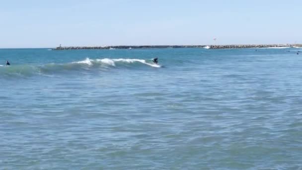 Oceanside California Usa Feb 2020 Άνθρωποι Σέρφινγκ Σέρφερ Που Κολυμπούν — Αρχείο Βίντεο