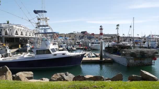 Oceanside Kalifornien Usa Feb 2020 Hamnby Med Fiskebåtar Och Yachter — Stockvideo