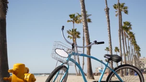 Велосипедный крейсер на берегу океана, Калифорния, побережье США. Летний цикл, хижина спасателя и пальма — стоковое видео
