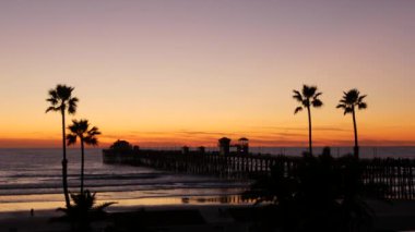 Kaliforniya 'da palmiyeler ve alacakaranlık gökyüzü. Tropik okyanus sahili günbatımı atmosferi. Los Angeles titreşimleri.