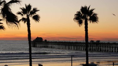 Kaliforniya 'da palmiyeler ve alacakaranlık gökyüzü. Tropik okyanus sahili günbatımı atmosferi. Los Angeles titreşimleri.