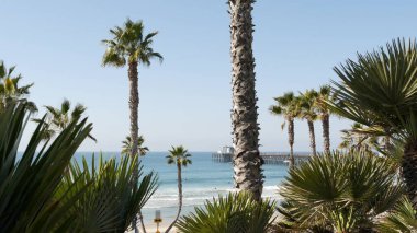 Pasifik Okyanusu sahili, palmiye ağacı ve iskele. Los Angeles yakınlarındaki tropik rıhtım beldesi..