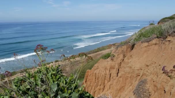 美国加利福尼亚海岸德尔马 · 托里松的海景景区。海洋潮汐，蓝色海浪忽视 — 图库视频影像